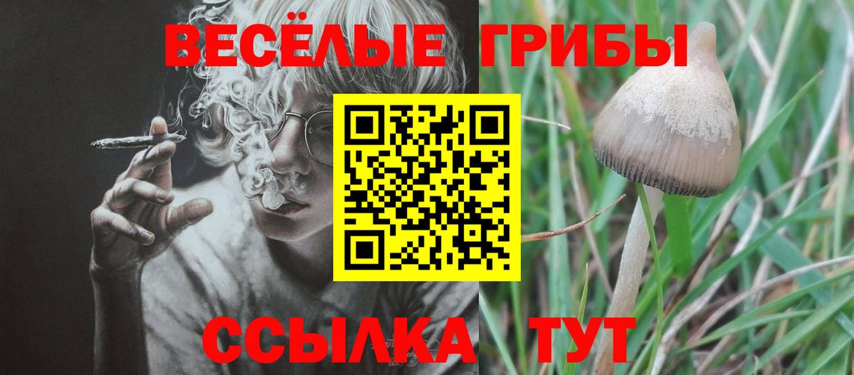 Тольятти  Псилоцибиновые грибы прущие грибы  Вход с VPN 